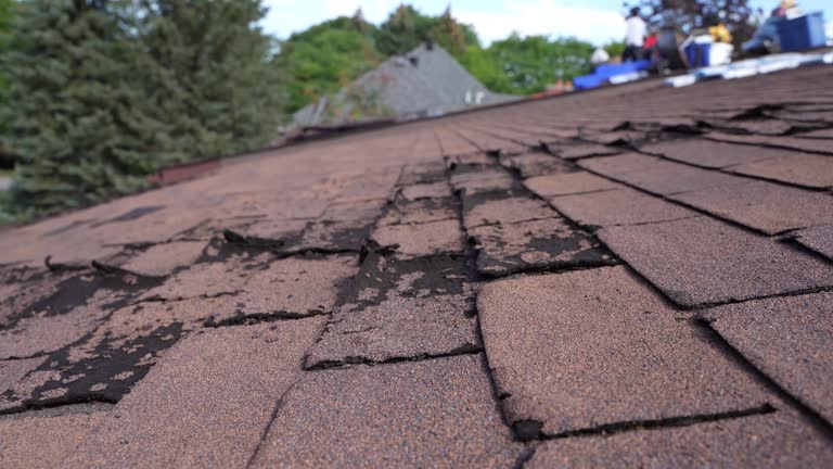 Best Storm Damage Roof Repair  in Lifornia City, CA