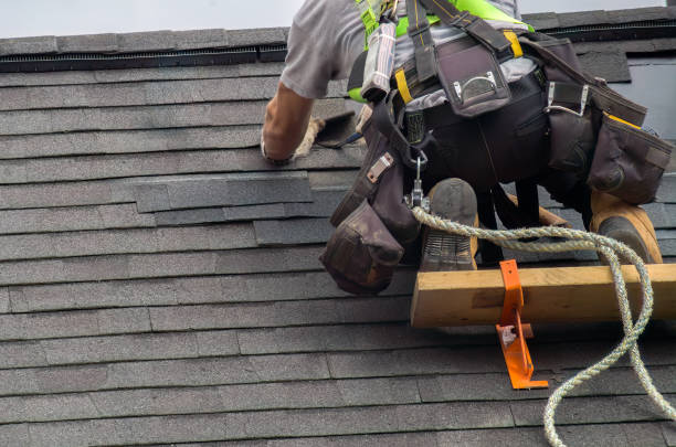 Best Chimney Flashing Repair  in Lifornia City, CA