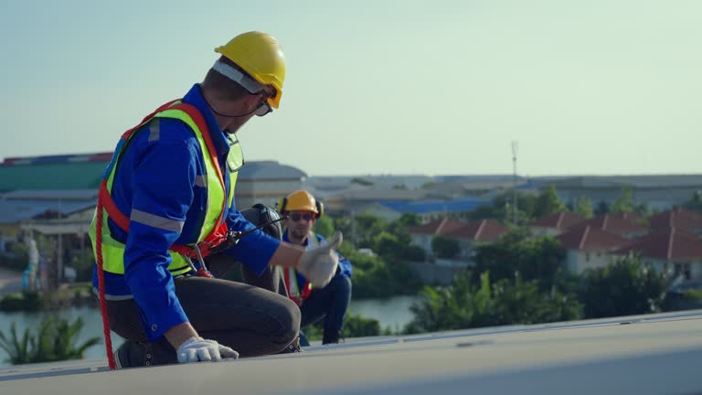 Best Sheet Metal Roofing  in Lifornia City, CA