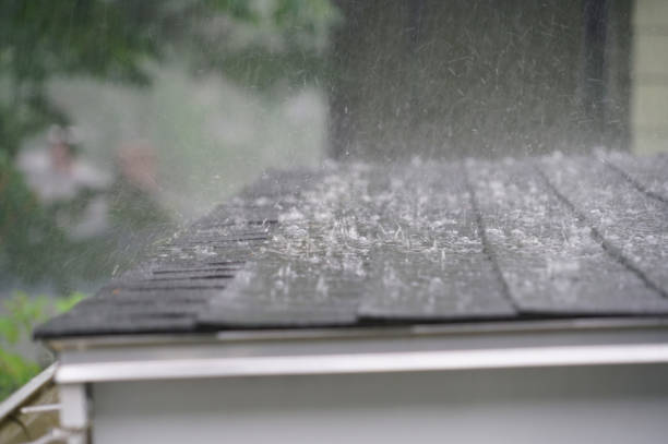 Best Roof Coating and Sealing  in Lifornia City, CA